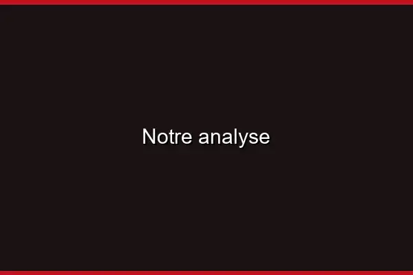 Notre analyse