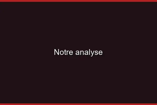 Notre analyse