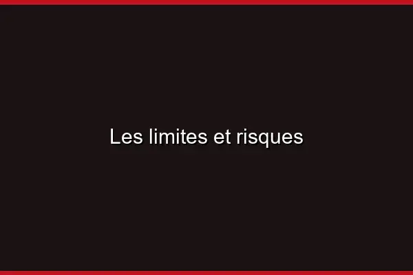 Les limites et risques